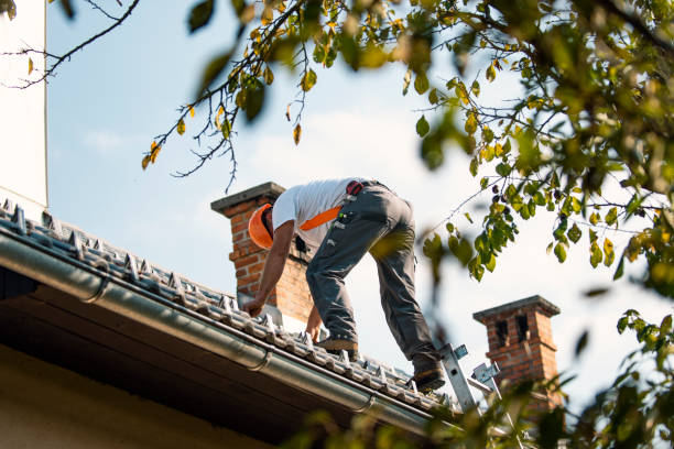 Best Chimney Flashing Repair  in University City, MO