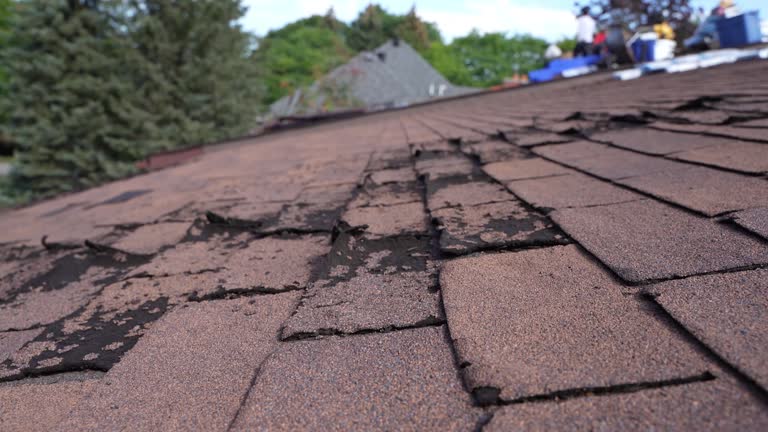 Best Storm Damage Roof Repair  in University City, MO