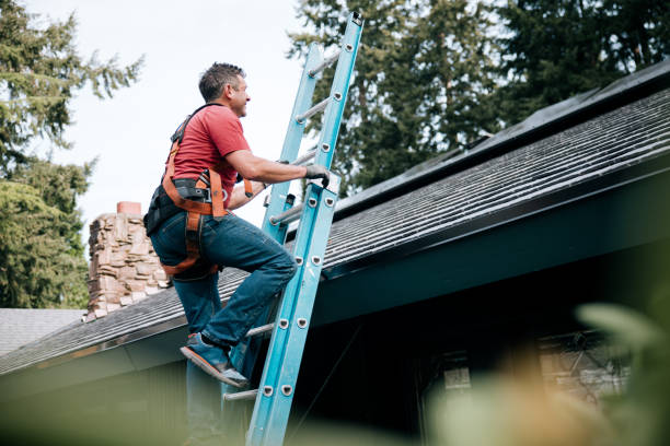 Best Green or Eco-Friendly Roofing Solutions  in University City, MO