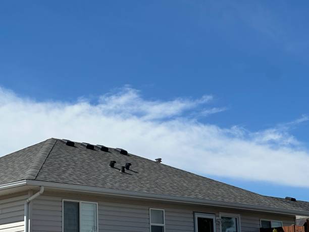 Reliable University City, MO Roofing Service Solutions